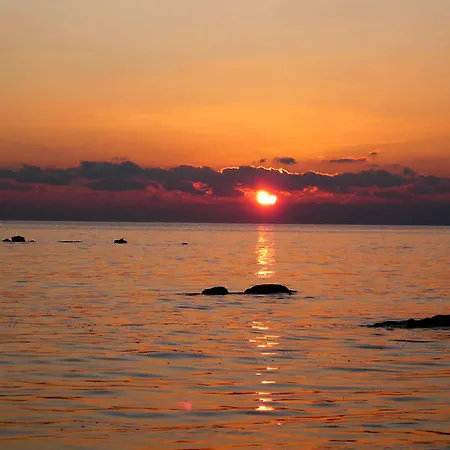 Akis Kontogialos-pelekas 佩雷卡斯