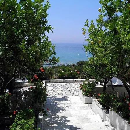 Akis Kontogialos-pelekas *