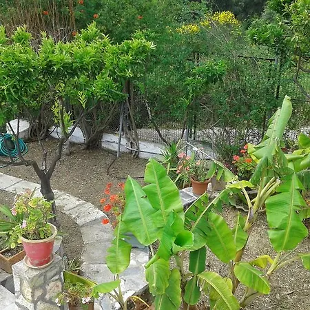 Akis Kontogialos-pelekas