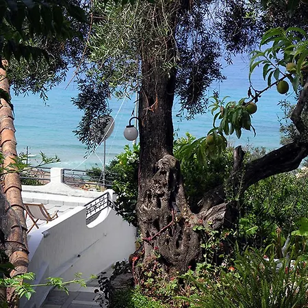 Akis Kontogialos-pelekas * Pelekas