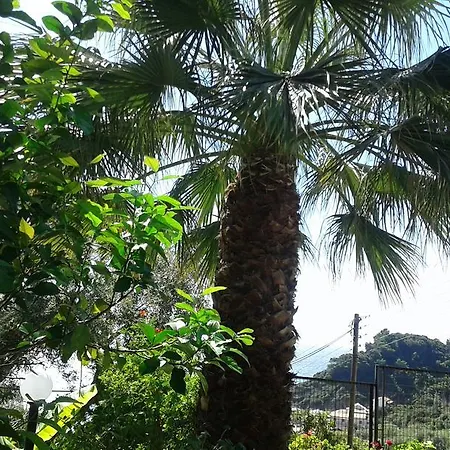 Apartament Akis Kontogialos-pelekas