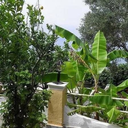 Appartement Akis Kontogialos-pelekas