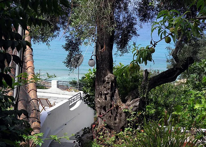 Akis Kontogialos-pelekas * Pelekas