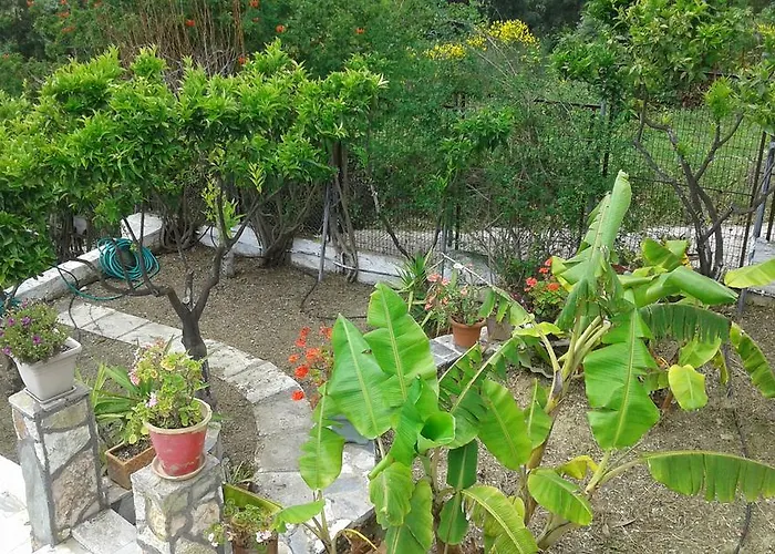 Akis Kontogialos-pelekas