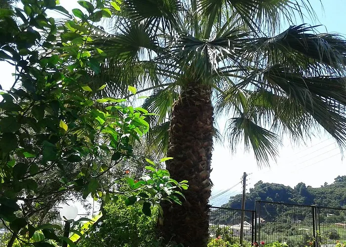 Apartmán Akis Kontogialos-pelekas