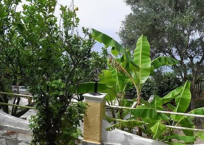 Apartmán Akis Kontogialos-pelekas