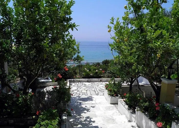 Akis Kontogialos-pelekas *