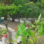 Akis Kontogialos-pelekas